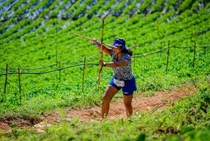 BIB: 1565
                            <button type="button" onclick="openModal(19164229)" class="btn btn-primary btn-sm float-right btn-popup" data-toggle="modal" data-target=".modal-high-quality">
                        <i class="fas fa-shopping-cart"></i> Add to Cart
                    </button>
                                            <button type="button" onclick="isThisMe(19164229, true)" class="btn btn-success btn-sm float-right btn-popup btn-isme hidden" data-toggle="tooltip" data-placement="bottom" title="นี่คือรูปของคุณใช่ไหม คลิกที่นี่เพื่อเอาเข้าอัลบั้ม">
                        <i class="fas fa-plus"></i> Add to album
                    </button>
                    <button type="button" onclick="isThisMe(19164229, false)" class="btn btn-warning btn-sm float-right btn-popup btn-isnotme hidden">
                        <i class="fas fa-ban"></i> Remove from album
                    </button>